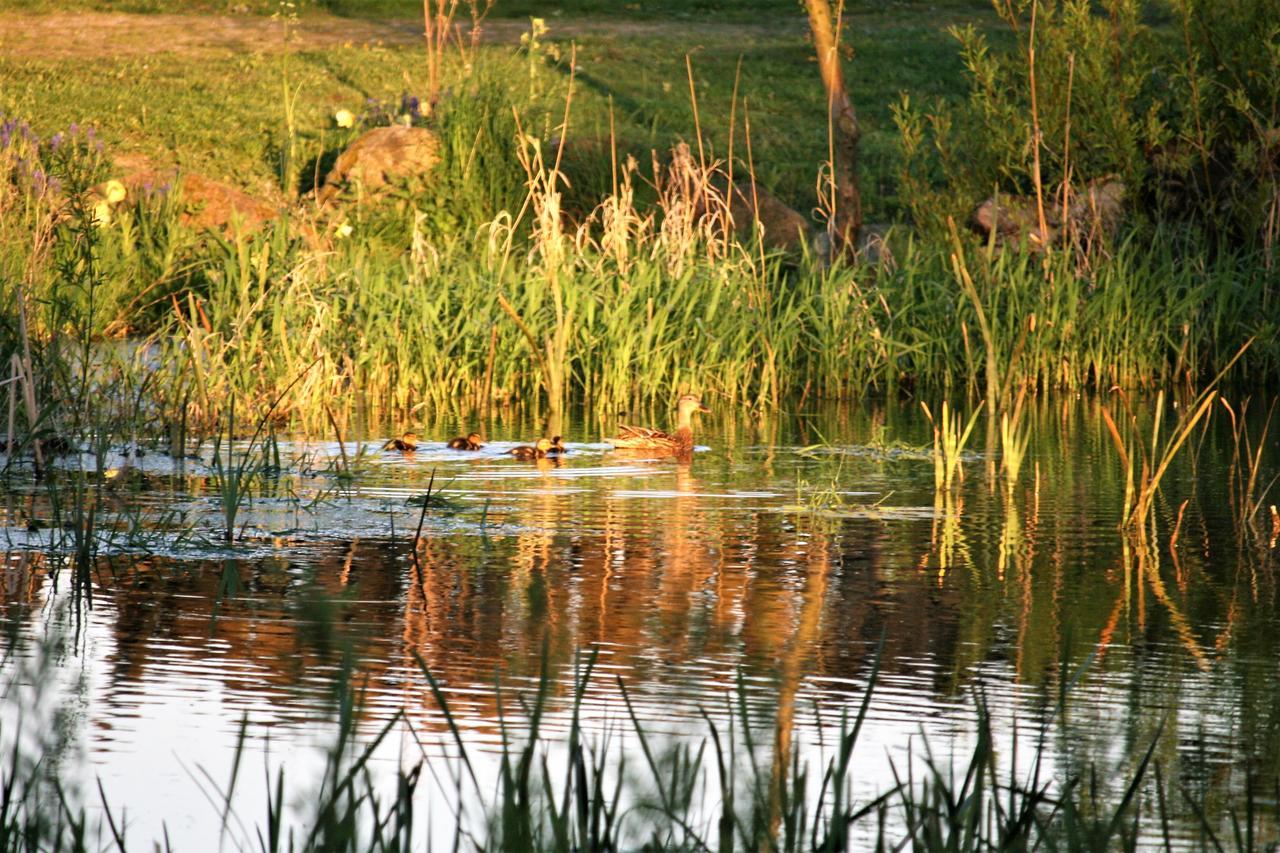 Rodkaergard Bed&breakfast Kerteminde