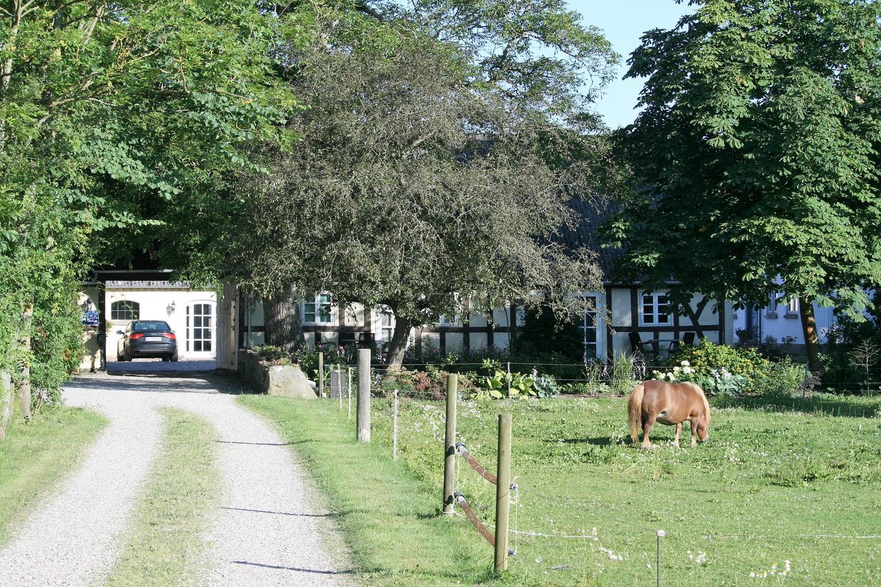Rodkaergard Kerteminde