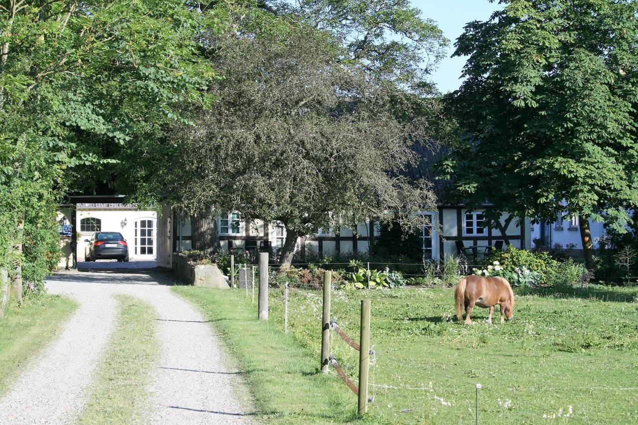 Rodkaergard Bed&breakfast Kerteminde