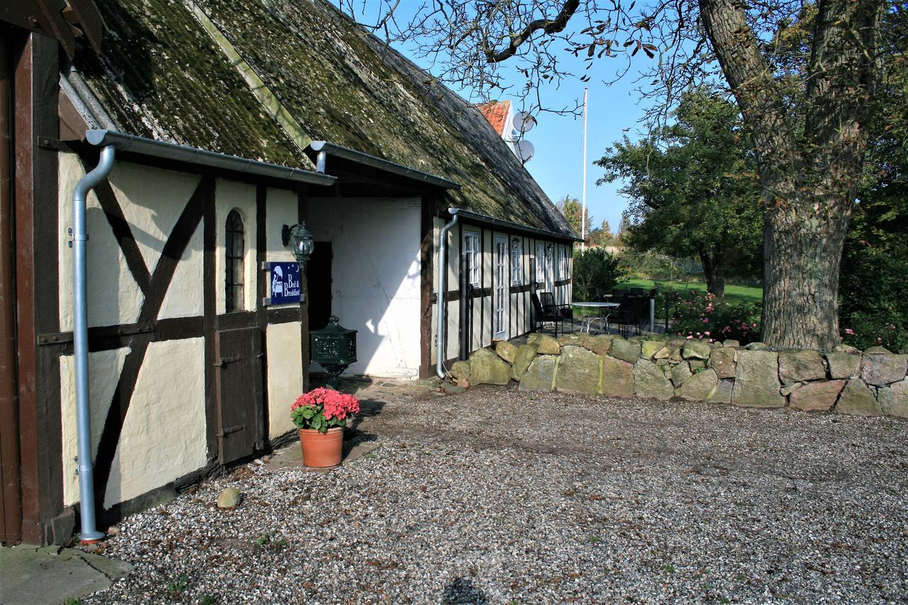 Couette-café Rodkaergard